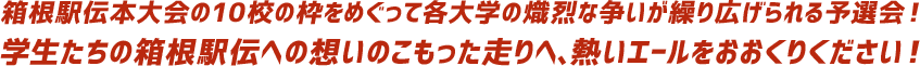 箱根駅伝本大会の10校の枠をめぐって各大学の熾烈な争いが繰り広げられる予選会！ 学生たちの箱根駅伝への想いのこもった走りへ、熱いエールをおおくりください！