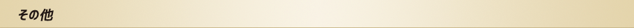 その他